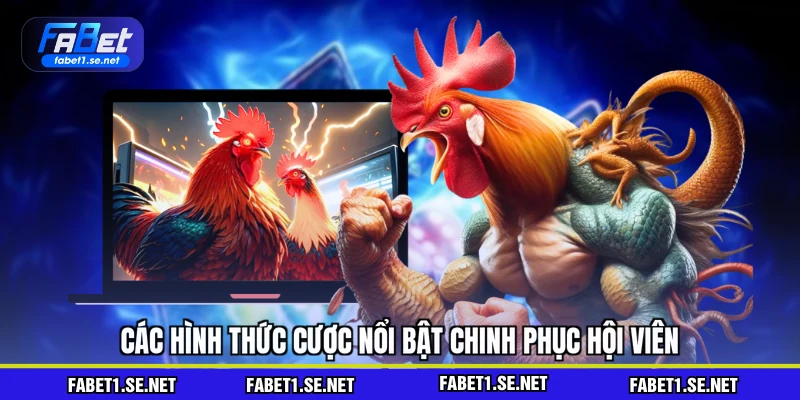 Đá Gà FABET - So Sánh Với Các Nhà Cái Trực Tuyến Khác