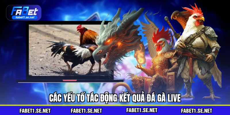 Đá Gà Live - Đọc Kèo Chuẩn Và Cược Thắng Lớn Hấp Dẫn