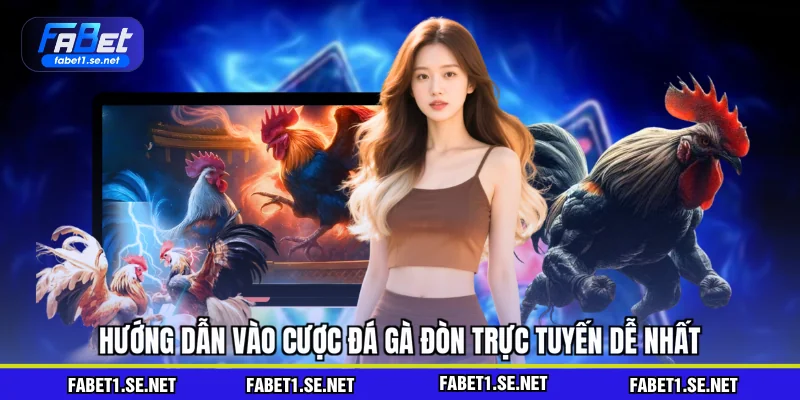 Đá Gà Đòn - Nhập Môn Cá Cược Hay Cho Người Mới 2026