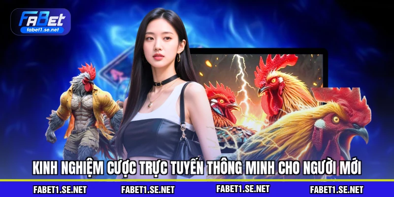Đá Gà Đòn - Nhập Môn Cá Cược Hay Cho Người Mới 2026