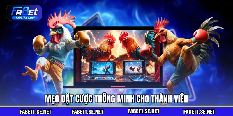 Đá Gà Live - Đọc Kèo Chuẩn Và Cược Thắng Lớn Hấp Dẫn