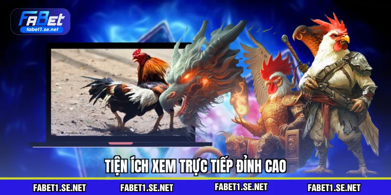 Đá Gà FABET - So Sánh Với Các Nhà Cái Trực Tuyến Khác